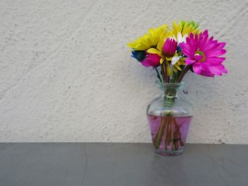 Close-up of colorful daisy flowers in vase