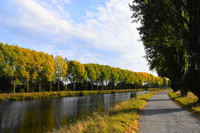 Scenic view of lake by trees against sky