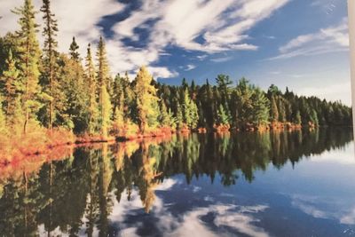 Reflection of trees in lake against sky