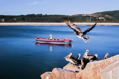 Seagulls flying over lake against sky