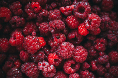 Raspberry fresh berry eco friendly background. macro photo food of raspberries. 