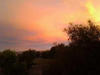 Trees against sky during sunset