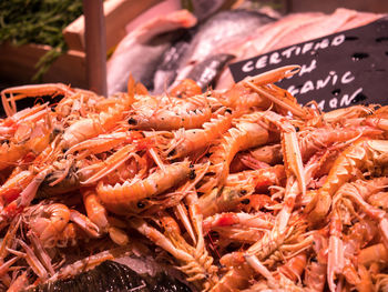 Close-up of shrimps for sale at market stall