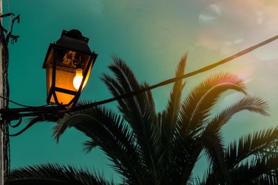 Low angle view of palm trees against sky during sunset