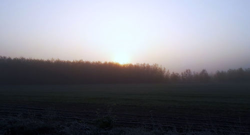 Scenic view of trees on field against sky during sunset