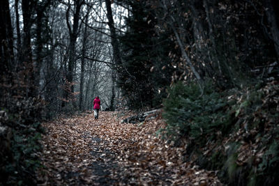 Rear view of woman walking in forest