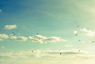 Low angle view of bird flying in sky