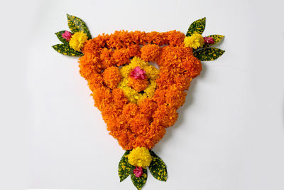 High angle view of multi colored leaves on white background