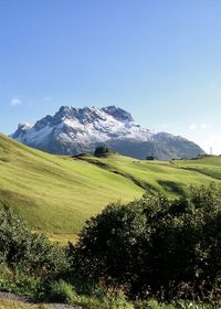 Scenic view of landscape against clear sky