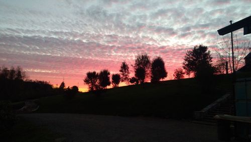 Silhouette trees against sky during sunset