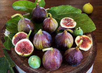 common fig