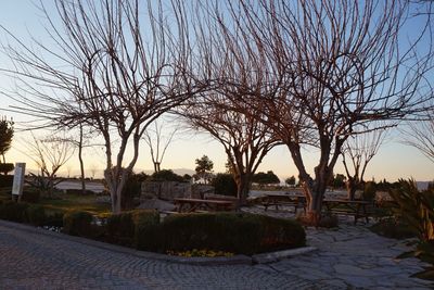 Bare trees against sky at sunset