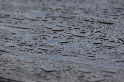Full frame shot of raindrops on wet metal