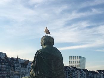 Rear view of seagull perching on sculpture against buildings