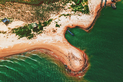 High angle view of snake on beach