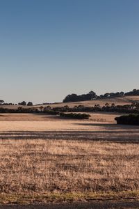 Scenic view of landscape against clear sky