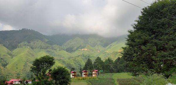 Panoramic view of trees on field against sky