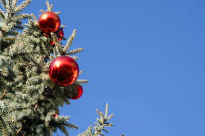 Low angle view of christmas tree against clear blue sky
