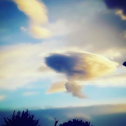 Low angle view of bird flying against sky