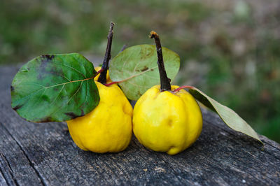 Close-up of quinces on wooden table