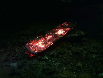 Close-up view of illuminated red night