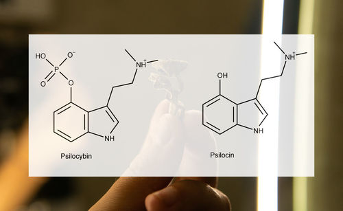 Digital composite image of hand holding paper