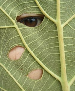 Close-up portrait of man on plant