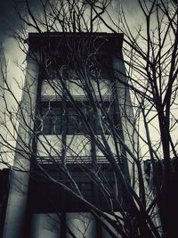 Low angle view of bare tree against sky