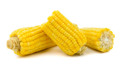 Close-up of yellow cake against white background