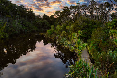 Reflection of trees in lake against sky during sunset