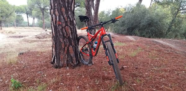 View of bicycle on tree trunk in field