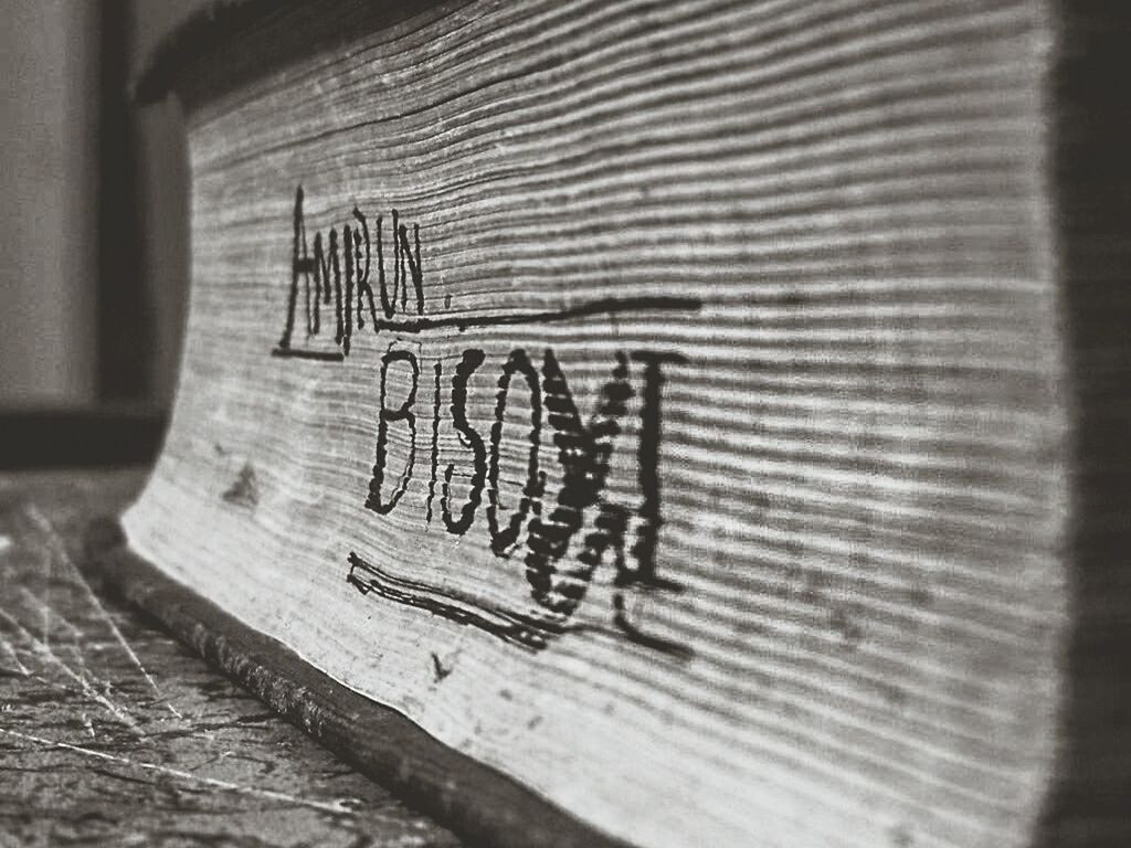 indoors, wood - material, wall - building feature, art and craft, close-up, art, creativity, still life, text, wooden, wall, old, table, no people, hanging, textured, absence, pattern, paper, abandoned