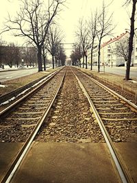 Empty road along trees