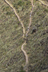 High angle view of road amidst trees in forest