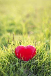 Close-up of red heart shape on grass