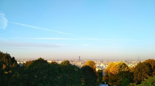 Trees and plants growing against sky in city