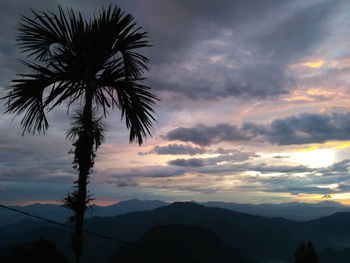 Silhouette palm trees against sky during sunset