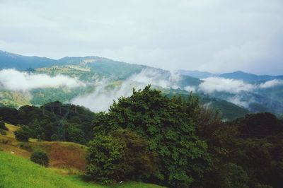 Scenic view of trees and mountains against sky