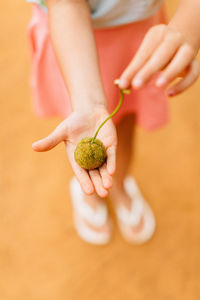 Close-up of hand holding flower on table