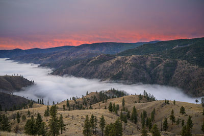 Pink sunrise in the mountains with clouds in the valley