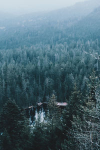 Aerial view of trees on landscape against sky