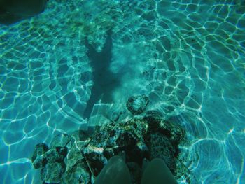Low section of person in swimming pool