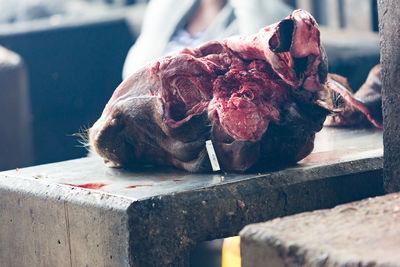 Close-up of butchered cow's head in market