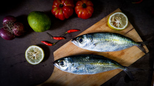 High angle view of fish in container