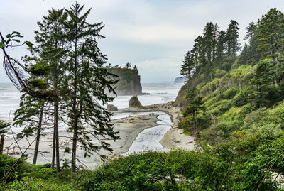 A panoramic view of ruby beach in washington state and the ocean beyond.