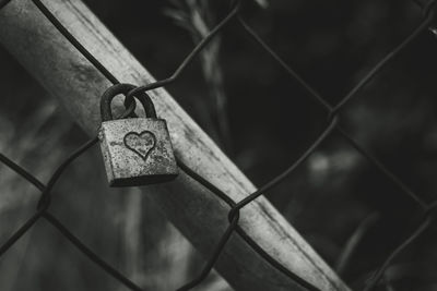 Close-up of padlocks on fence