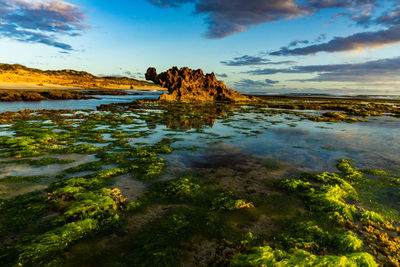 Scenic view of stream against sky during sunset