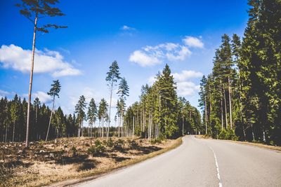 Empty road along trees