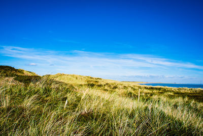 Scenic view of sea against blue sky