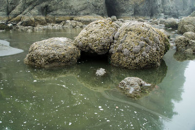 High angle view of rocks in water